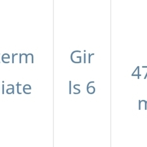 NWT Lil' Fox Metallic Purple Leotard Rhinestones Sparkle Gymnastics Dance - Picture 4 of 4